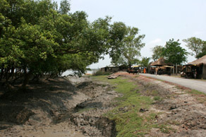 A village bordering mangrove forest. Sundarbans is home to the largest mangroves on earth. / ©: Ameen Ahmed/WWF-India / ©: Ameen Ahmed/WWF-India