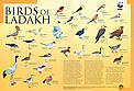  / &copy;: WWF-India