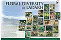  / &copy;: WWF-India