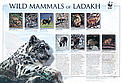  / &copy;: WWF-India