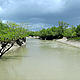 &copy; Chiranjib Chakraborty/WWF-India