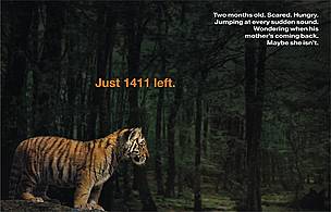  / &copy;: Aircel