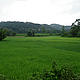 &copy; WWF-India