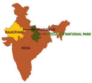  / &copy;: WWF-India