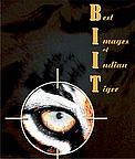 BIIT Photo contest / ©: WWF-India / ©: WWF-India