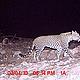 &copy; WWF-India, NBL & Pakke Wildlife Division