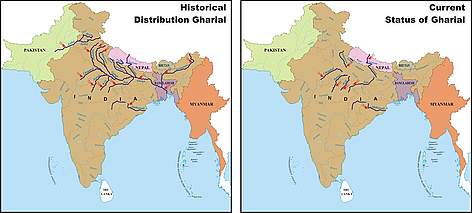  / &copy;: WWF-India