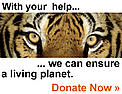 WWF relies on public support to continue our vital conservation work around the world. / ©: WWF WWF relies on public support to continue our vital conservation work around the world. / ©: WWF