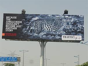 Hoarding at DND
© TIMES OOH
© TIMES OOH