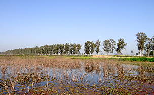 © Gitanjali Kanwar@WWF-India
© Gitanjali Kanwar@WWF-India