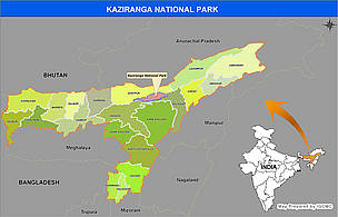 Kaziranga National Park / ©: WWF-India / ©: WWF-India