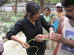  / &copy;: WWF-India
