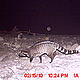 &copy; WWF-India, NBL & Pakke Wildlife Division