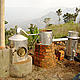 &copy; Vishaish Uppal/WWF-India