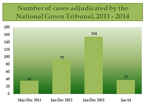 Statistical representation of the National Green Tribunal cases / ©: WWF-India / ©: WWF-India