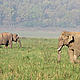 &copy; WWF-India