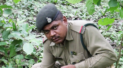 Asif Hussain Qureshi, Forest Guard, Kanha Tiger Reserve / ©: WWF-India rel=