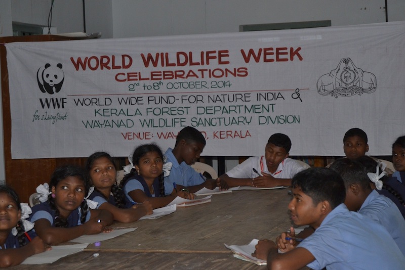 World wild animal week