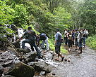 Camp participants inside the forests of Vazhachal