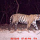 &copy; WWF-India/UP Forests Department
