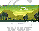 Report on Wild Wisdom National Quiz 2011