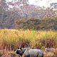&copy; Dipankar Ghose/WWF-India