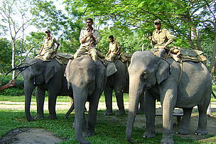  / &copy;: WWF-India