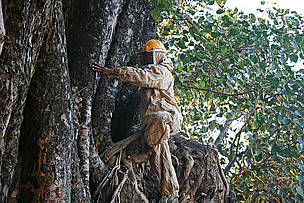  / &copy;: Diwakar Sharma/WWF-India