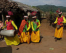Central India is home to various forest dwelling communities