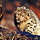 &copy; Fritz POLKING/WWF
