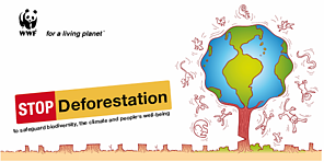 WWF Stop Zero Net Deforestation Postcard / ©: WWF WWF Stop Zero Net Deforestation Postcard / ©: WWF