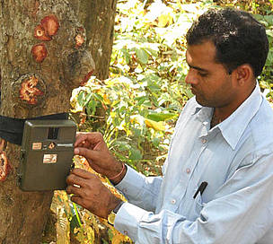  / &copy;: WWF-India