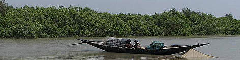 Mangrove ecosystem in the Sundarbans, India / ©: Anne-Marie Singh/WWF-India / ©: Anne-Marie Singh/WWF-India
