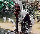  / &copy;: Vissa Sundar/WWF-India