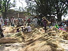 Often, communities have legal rights to extract, use and sell certain forest products. However, due ... / ©: Vishaish Uppal/WWF-India / ©: Vishaish Uppal/WWF-India