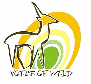  / &copy;: Voice of Wild
