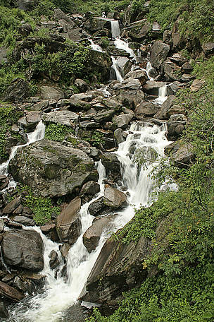  / &copy;: Dipankar Ghose/WWF-India