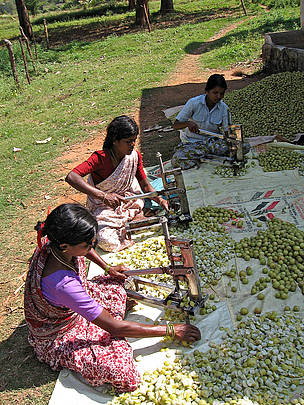 © Vishaish Uppal/WWF-India.
© Vishaish Uppal/WWF-India.