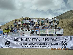 World Migratory Bird Day at Leh / ©: WWF-India / ©: WWF-India