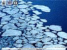 WWF Screensaver / &copy;: WWF-India